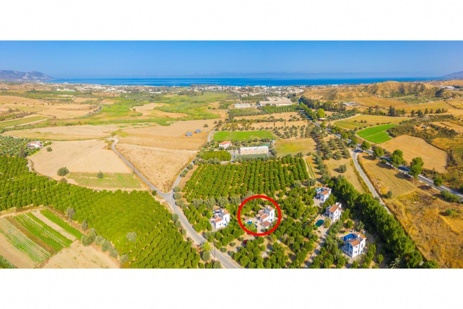 Villa Charoula Pente 파포스 외부 사진